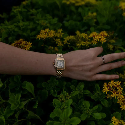 Chronure® Bellemont